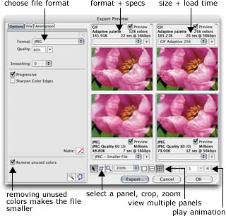 export preview