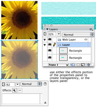 transparency example