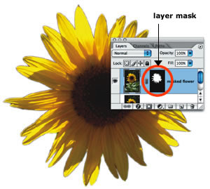 layer mask
